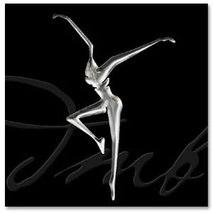 DMB Stand Up Dual Version CD